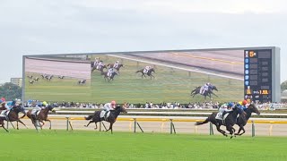 2024/10/27 東京競馬場 東京5R新馬戦 ゴール板前 1着アマキヒ 2着ロジャリーマイン 3着マテンロウムーブ