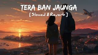 Tera Ban Jaunga Lofi | Kabir Singh | Lofi Songs