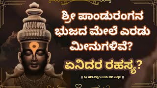 ಶ್ರೀ ಪಾಂಡುರಂಗನ ಭುಜದ ಮೇಲೆ ಎರಡು ಮೀನುಗಳಿವೆ? ಏನಿದರ ರಹಸ್ಯ? #pandurangvitthala #divotionalfacts #govinda