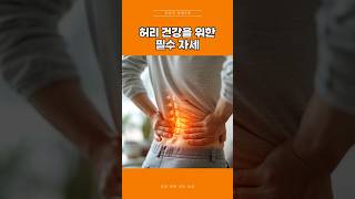 허리 튼튼하게 만드는 자세 3가지 #건강 #건강정보