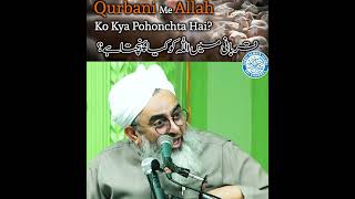 Qurbani Me Allah Ko Kya Pohochta Hai? | Maulana Shakir Noorie