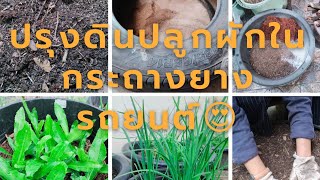 ep.2 ปลูกผักในกระถางยางรถยนต์ ปรุงดิน ขั้นตอนการกรีดล้อยางรถยนต์/ Grow vegetables in car tire pots.