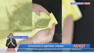 Безопасная и здоровая столица