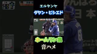 暗黒期を支え続けた男[ダヤン・ビシエド] 音ハメ #プロ野球 #中日ドラゴンズ #ホームラン集 #ビシエド 2016〜2024