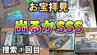 【お宝拝見】捜索①回目 メゾンちらし寿司×なすびんぼ