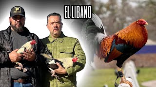 Entrevista a Victor Tame Jr - El Libano