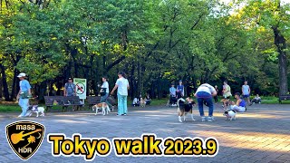 [4K HDR] 豊島園 練馬春日町 光が丘 東京散歩 2023.9 Toshimaen Nerima Kasugacho Hikarigaoka Tokyo walk