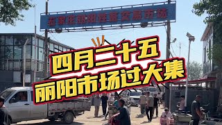 丽阳市场农历逢五排十过集，今天过集，很热闹，今天你来赶集了吗【丽阳牲畜市场】