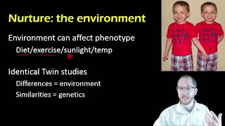 Biology: Polygenic Traits and Nature vs. Nurture