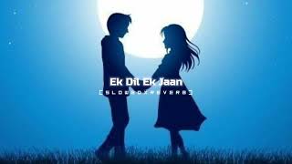 Ek Dil Ek Jaan|(SLOWED×REVERB)|Shivam Pathak|One Sided Lover