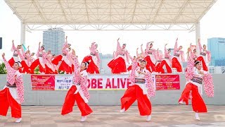 [4K]舞士道　KOBE ALIVE2017 メリケンAnnversary Stage