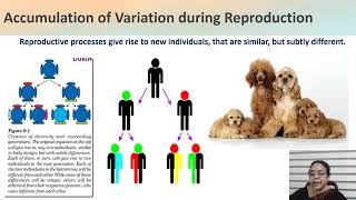 Heredity ; Variation : X Science