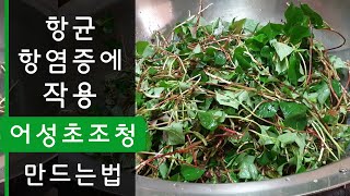 어성초조청 항균, 항염증에 좋은 어성초 조청 만들기, 최금옥, 슬로시티약초밥상