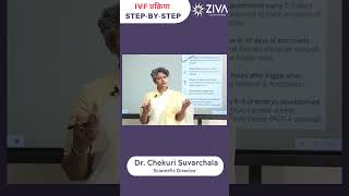 IVF Procedures Step By Step | In Vitro Fertilization In Hindi | Dr Chekuri Suvarchala