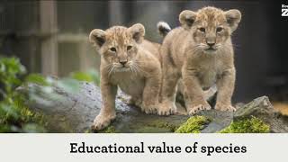 EAZA Education Conference 2019 _ Day 3 (1)