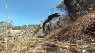 Willow Ridge Trail Tree Removal Time Lapse 20150902