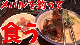 釣ったメバルを煮付けにして食ったら旨すぎて感涙！