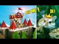 Hamster Prince Rescues the  Princess | Hamster obstacle course DIY by Hamster 1001