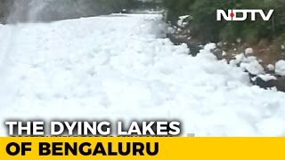 Why Do Bengaluru's Foamy Lakes Need Foreign Help, Ask City Experts