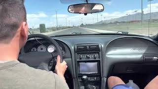 Who said whipples don't whine? Terminator cobra 3.4 whipple screams