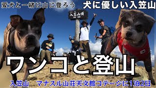 犬連れ登山　ワンコと一緒に雲海の入笠山に登った　犬に優しい入笠山に2匹の犬を連れて1泊2日の登山旅　マナスル山荘天文館のコテージは犬も泊まれます