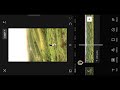 soft glow effect capcut in tamil how to add glow effect in capcut capcut video editing tamil