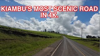 Most Scenic Roads: From Kiambu Town to Limuru Town through Tigoni tea plantations (4K Video)