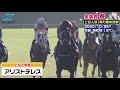 【天皇賞・春2021予想】牝馬が強い！時代の変わり目？taro u0026デンジャラス安田