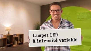 Lampes LED à intensité variable - Bien choisir l'ampoule, le transformateur et le variateur