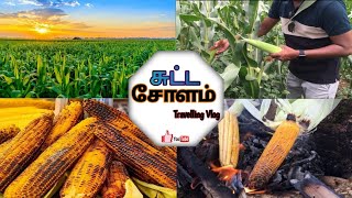 சுவையான சுட்ட சோளம் | Srilankan street food | Tamil couple vlog | sutta cholam | Grilled Corn