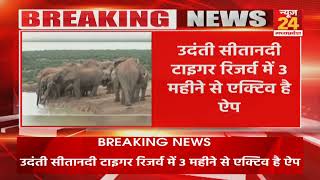 CG में 'Elephant tracking and alert app' किया गया विकसित..हाथियों के मूवमेंट की होगी मॉनिटरिंग ।