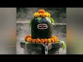 types of shiva abhishekam benefits of shiva abhishekam శివరాత్రి శివునికి అభిషేకం ఏ ద్రవ్యాలతో