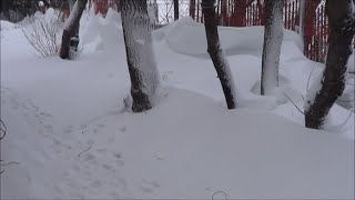 Snowbanks in Manitoba