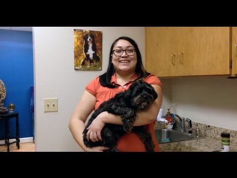 4 Steps To Getting A Finicky Dog to Eat Raw 4 Steps To Getting A Finicky Dog to Eat Raw