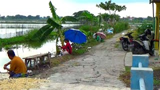 REZEKI ADA YG NGATUR!!Saya baru datang, semua pemancing pada panen ikan nila dan saya panen ikan mas