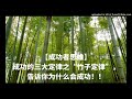 【成功者思维】成功的三大定律之“竹子定律”，告诉你为什么会成功！！