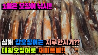 [4K] 심해 갑오징어 낚시 ?? 1월엔 심해 오징어 낚시가 갑이지!!