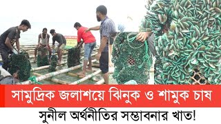 সামুদ্রিক জলাশয়ে ঝিনুক ও শামুক চাষ, সুনীল অর্থনীতির সম্ভাবনার খাত