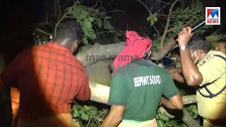 തൃശൂര്‍ പൂരത്തിനിടെ മരം വീണ് രണ്ട് മരണം ​‌​| Thrissur pooram | Accident report