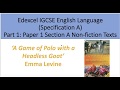 Analysis of 'A Game of Polo with a Headless Goat' by Emma Levine