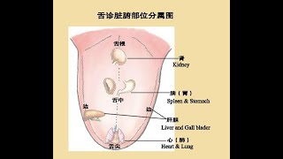 中医讲座：简明舌诊 案例分析及现场问答