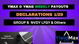 YIELDMAX GRP B DECLARATIONS NVDY FBY JPMO MRNY GDXY DIPS BABO PLTY YMAX YMAG MARO LFGY