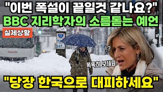 일본 폭설에 대해 언급하던 BBC 기자가 한국의 재난 대비 시스템을 극찬한 진짜 이유