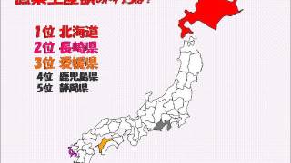 都道府県ランキング（林業、畜産業、漁業）