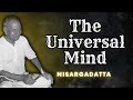 Nisargadatta ~ The Universal Mind: The Knowledge of Advaita (Non-Duality)