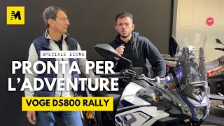 EICMA 2024 - VOGE DS 800 RALLY A MENO DI 10.000