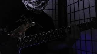 flesh stigmatized guitar cover
