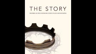 The Story NIV Chapter 12