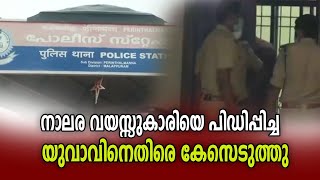 നാലര വയസ്സുകാരിയെ പിഡിപ്പിച്ച യുവാവിനെതിരെ കേസെടുത്തു I perinthalmanna I pocso case I