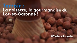 Terroir : la noisette, la gourmandise du Lot-et-Garonne !